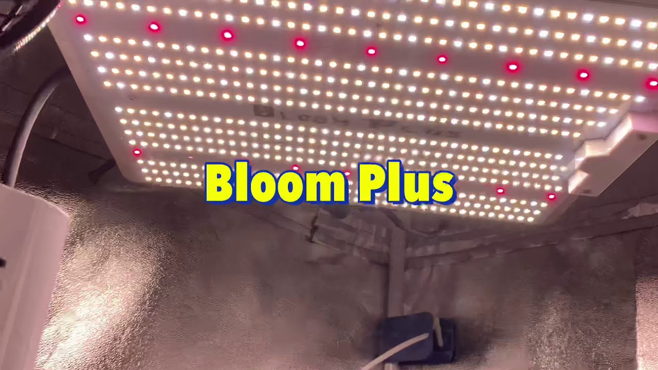 Veg Tent is Looking Great 👍 Thanks Delta & Bloom Plus For Keeping It Lit!