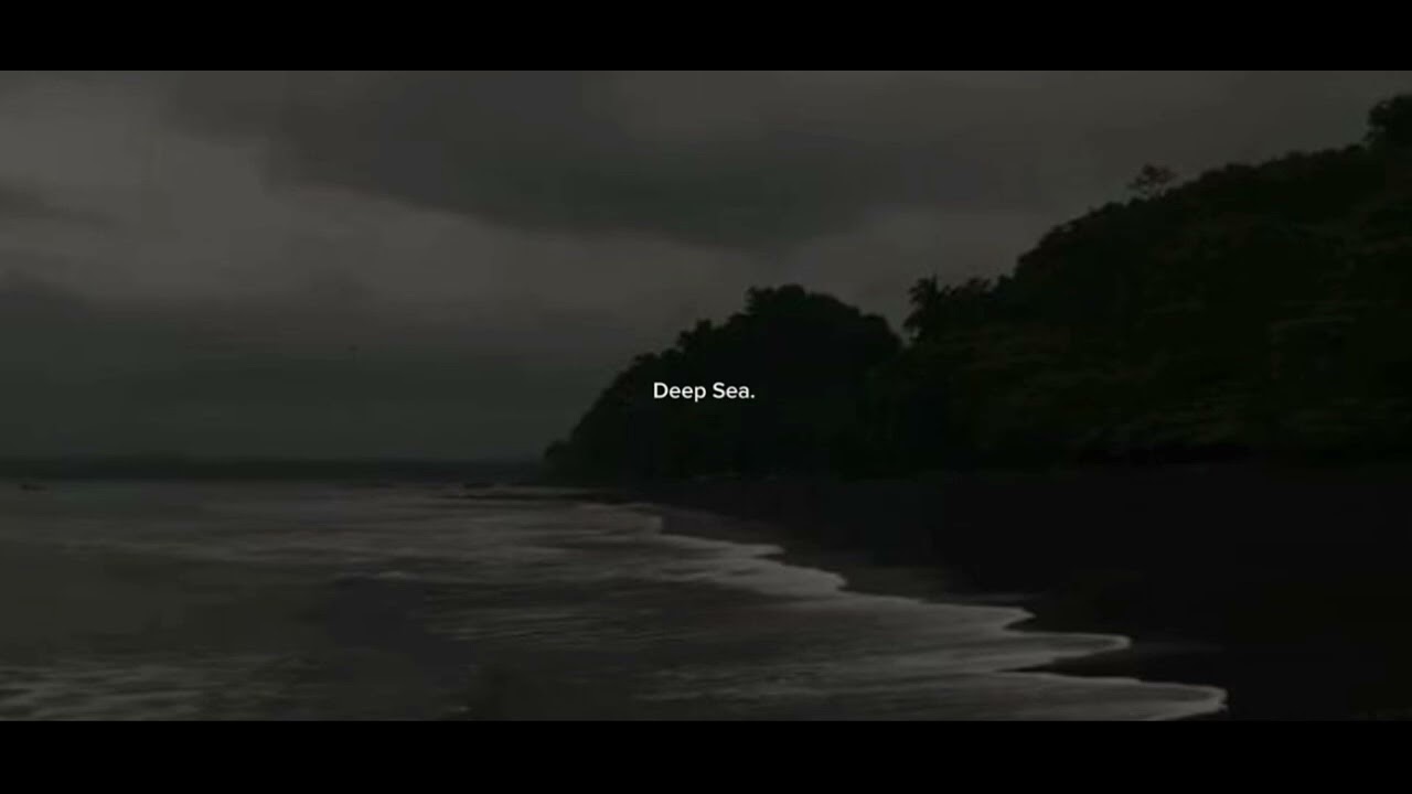 riptide- vance joy (Slowed)
