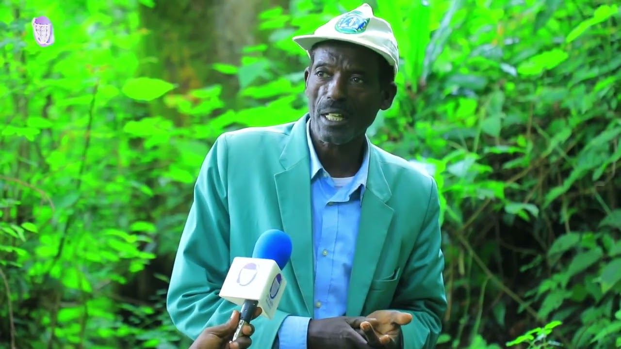 የዕለተ ሐሙስ 19/06/2018 ዓ.ም የሸኮኛ ፕሮግራም ስርጭት ከቤንች ሸኮ ቴሌቪዥን የተላለፈው ክፍል 1