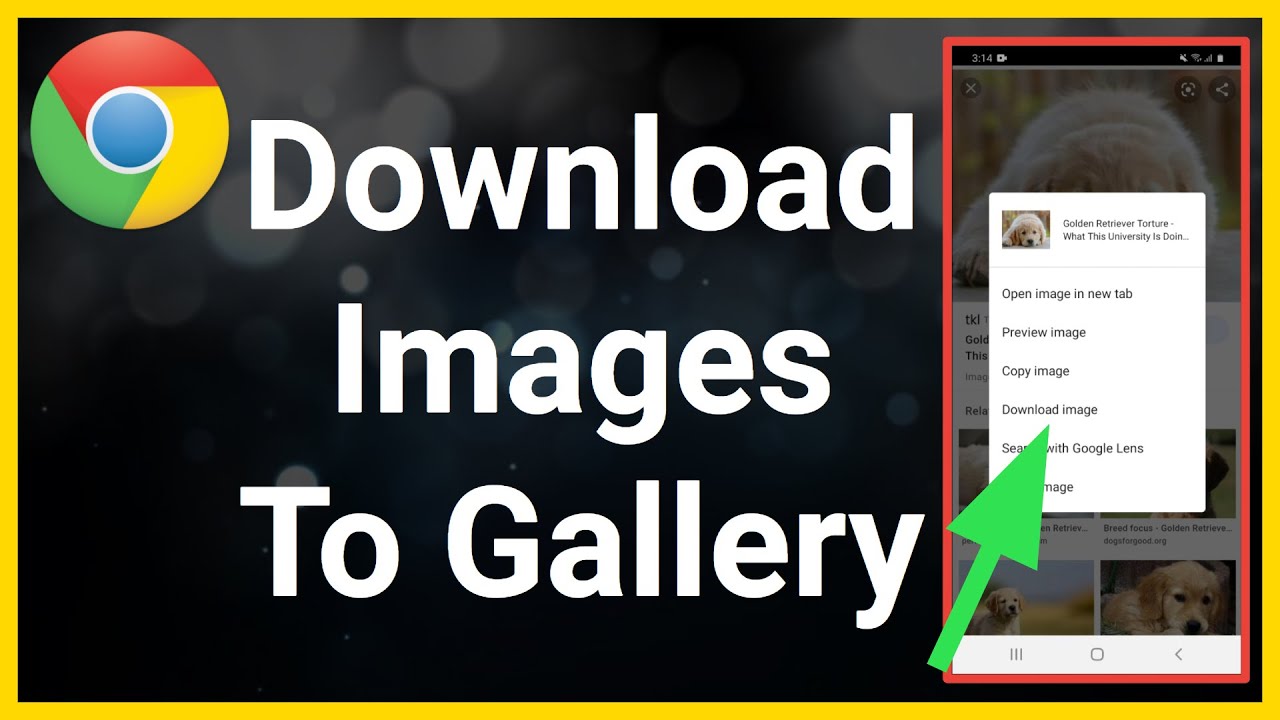 How To Download Images From Google To Your Gallery (Android)