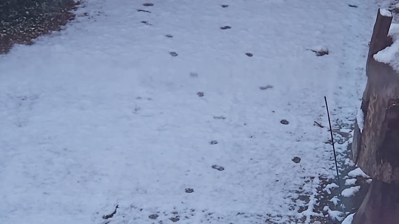 Veel sneeuw pret🙈 glij je ineens bijna uit + dagje kringloop ❤️