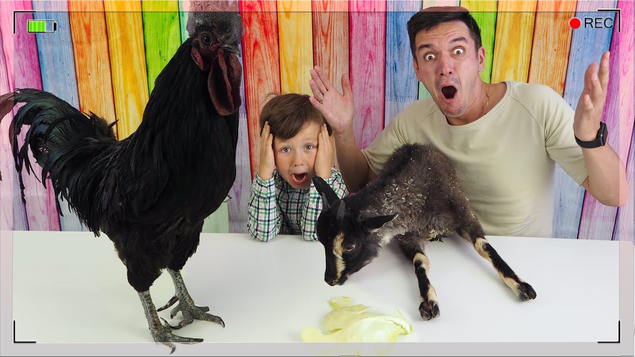 ЧЕЛЛЕНДЖ Мармеладная Еда против Настоящих Животных New Challenge Gummy Food vs Real Animals