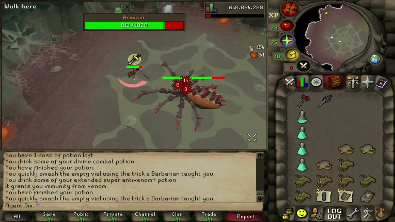 Osrs Runescape Araxxor Speed-Runner