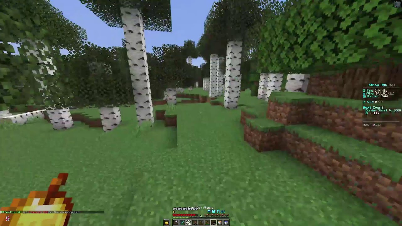 Stray.gg UHC EVENT  | Stray.gg