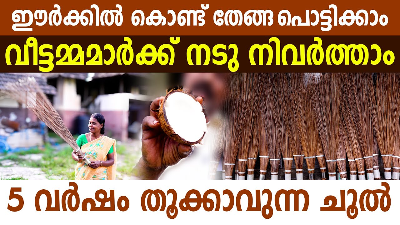 ഈർക്കിൽ ചൂലിനെ വകമാറ്റി ലക്ഷങ്ങൾ സമ്പാദിക്കുന്ന പാലക്കാട്ടുകാരൻ I Cococonut palm broom I