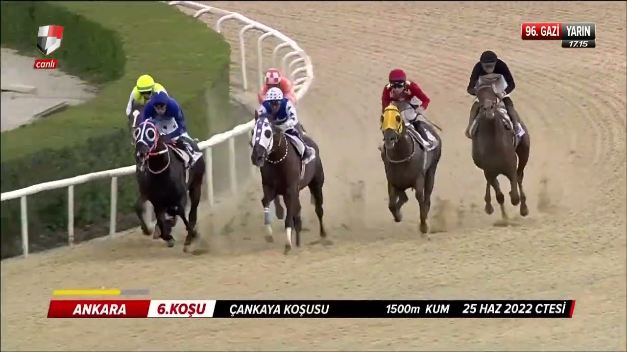 (A3) &Ccedil;ANKAYA KOŞUSU 2022 / REGARDLESS - VEDAT ABİŞ