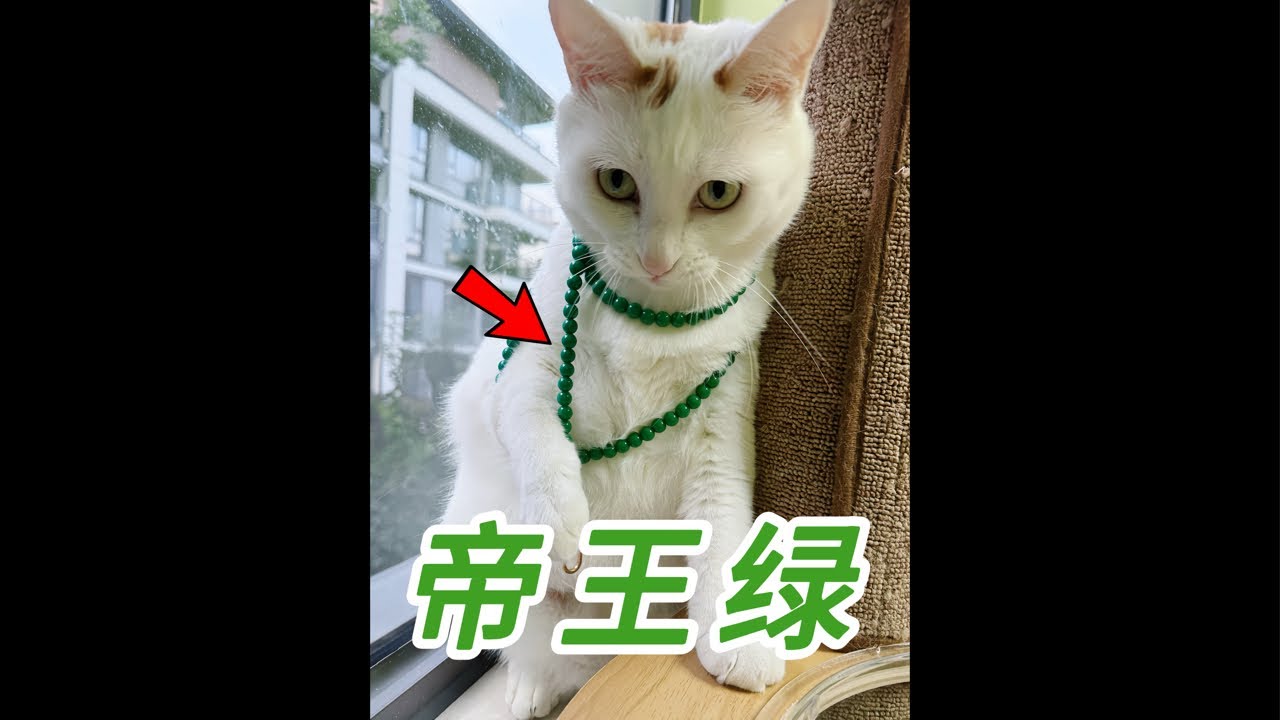 【直播】卖翡翠的富婆猫，马上要退休啦｜李喜猫