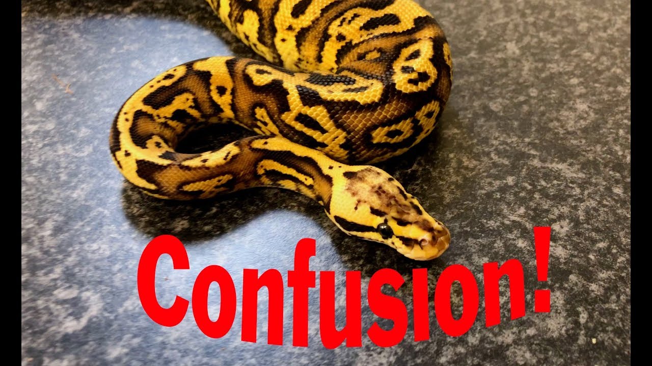 Confusion and more!