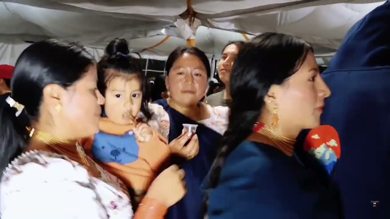 🌏 GRUPO MAYAS 🇪🇨 2 CERVEZITAS - BODA 2024 PUCARA DE SAN ROQUE 🎧 AUDIO EN VIVO