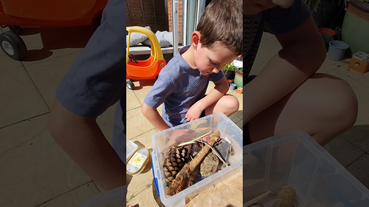Bug collecting 20 April 2020