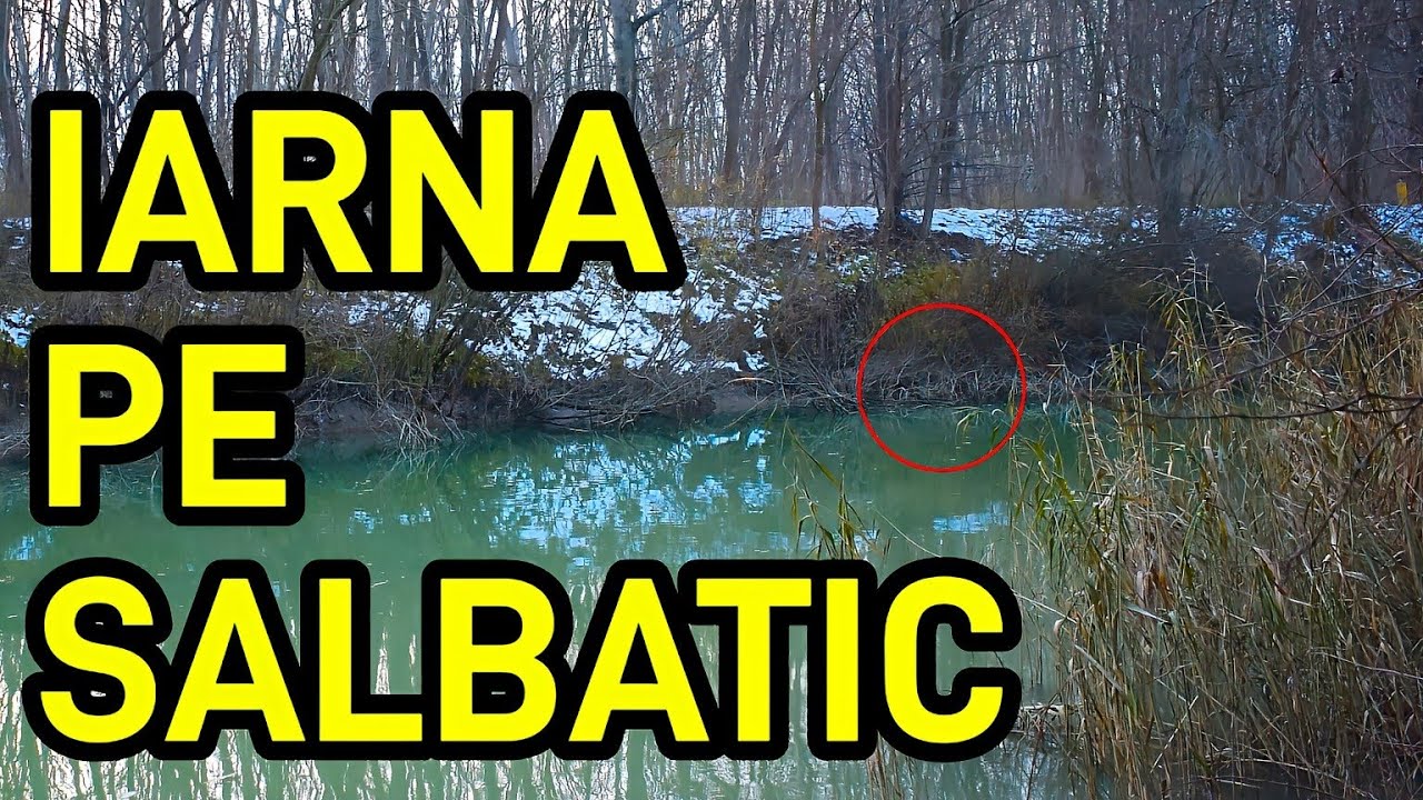SINGURUL CLIP DE CARE AI NEVOIE CA SA PRINZI TOATA IARNA PESTE PE SALBATIC