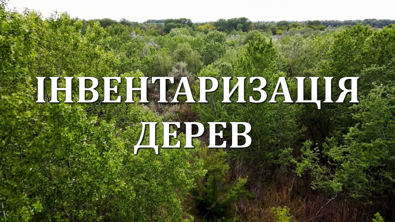 Інвентаризація дерев у «НІБУЛОНі»