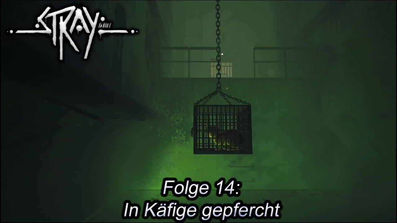 Die Flucht aus dem Gefängnis (Stray - Folge 14)