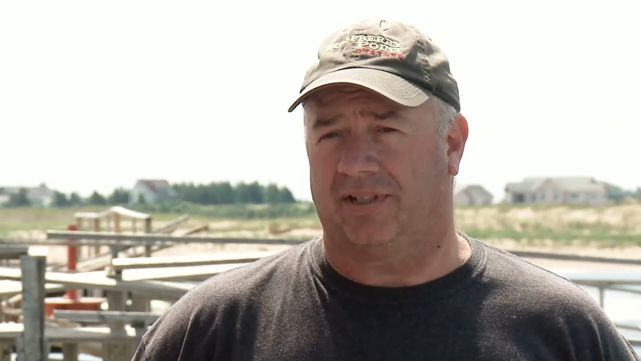 A Closer Look at Aqua Production Systems