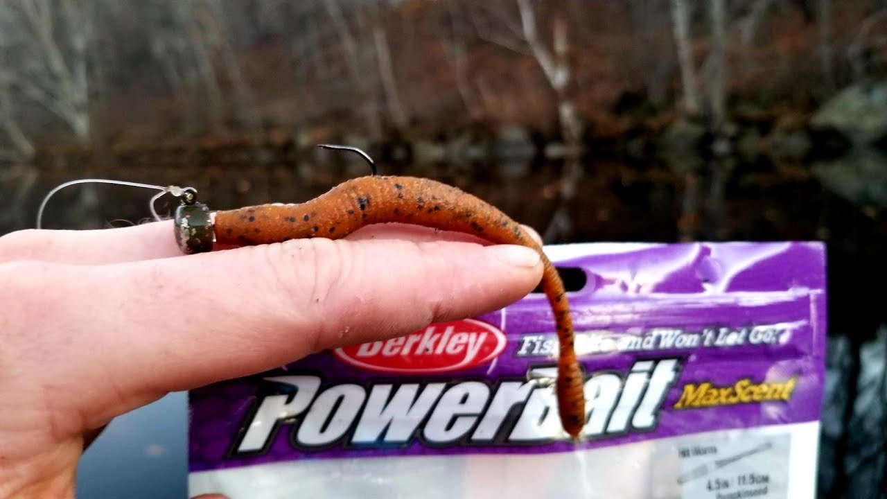 Powerbait Maxscent Hit Worm Catches River Smallmouth (Ned Rig)