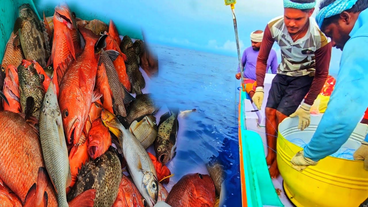 #vlog 3 amazing!! day 03 caught unbelievable back to back fishes deepsea  what happen the day