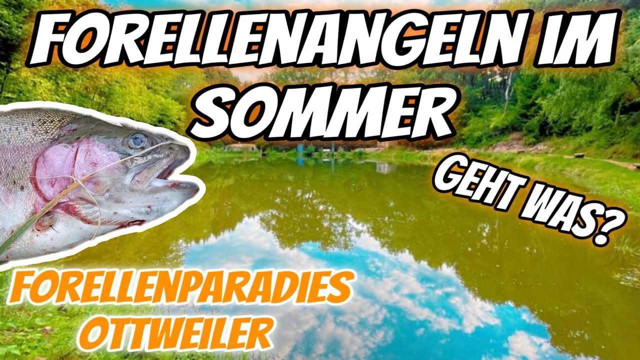 Forellenangeln im Sommer Geht was?  Forellenangeln beim Forellenparadies Ottweiler #hobby #angeln