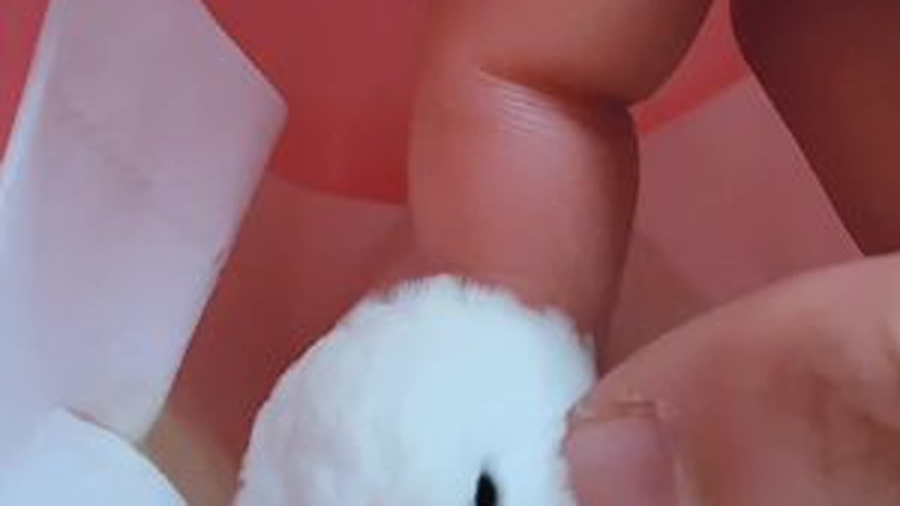 带你看看可爱小鸟的羽绒服到底有多厚……#萌宠