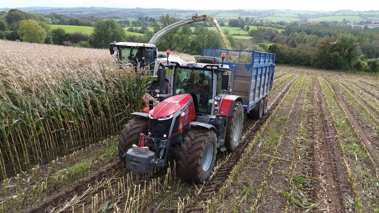 MARK TROY MAIZE 2025 🌽🌽