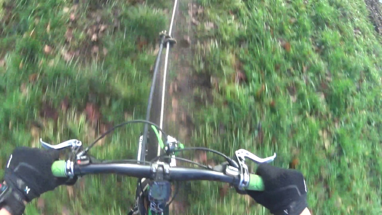 Bikejoring Ayla