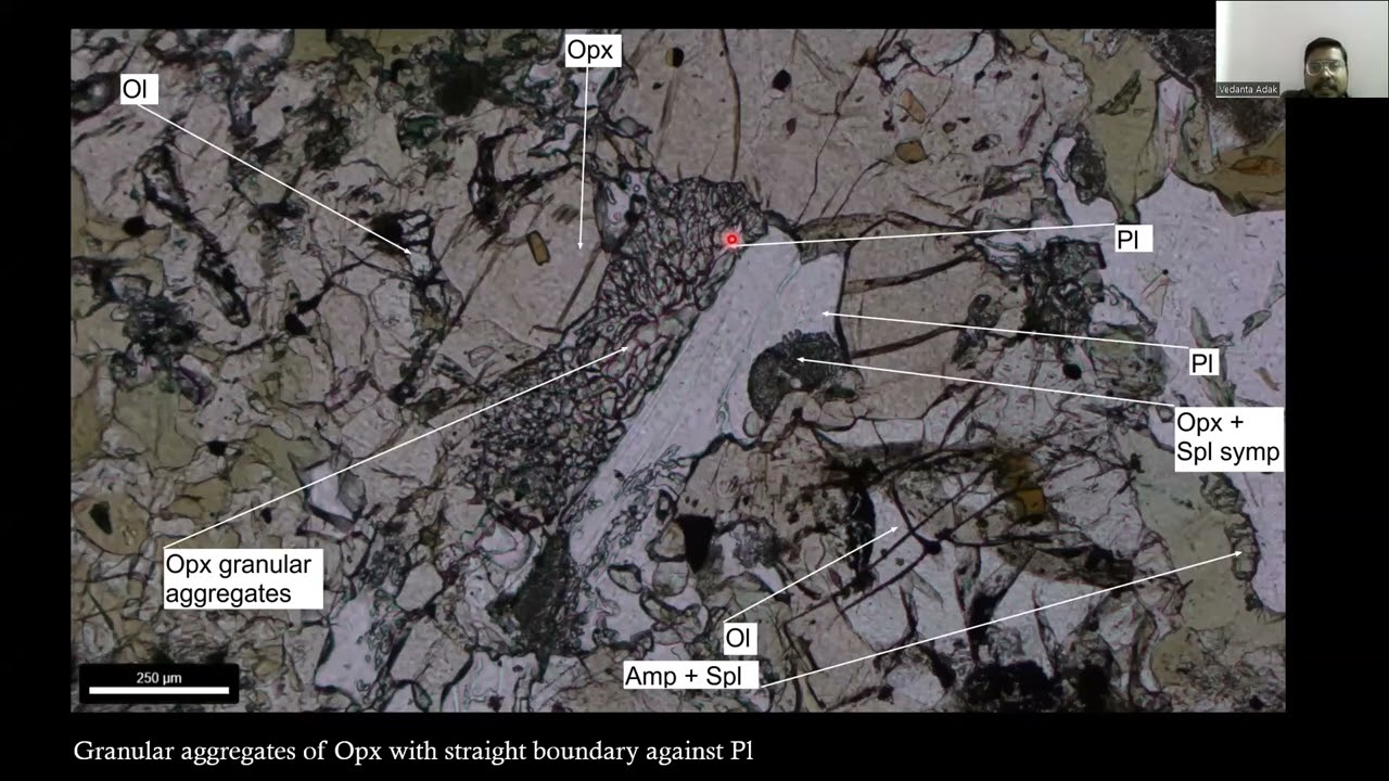 Reaction textures in ultramafic rocks: Evidence for supra to sub solidus reaction continuum