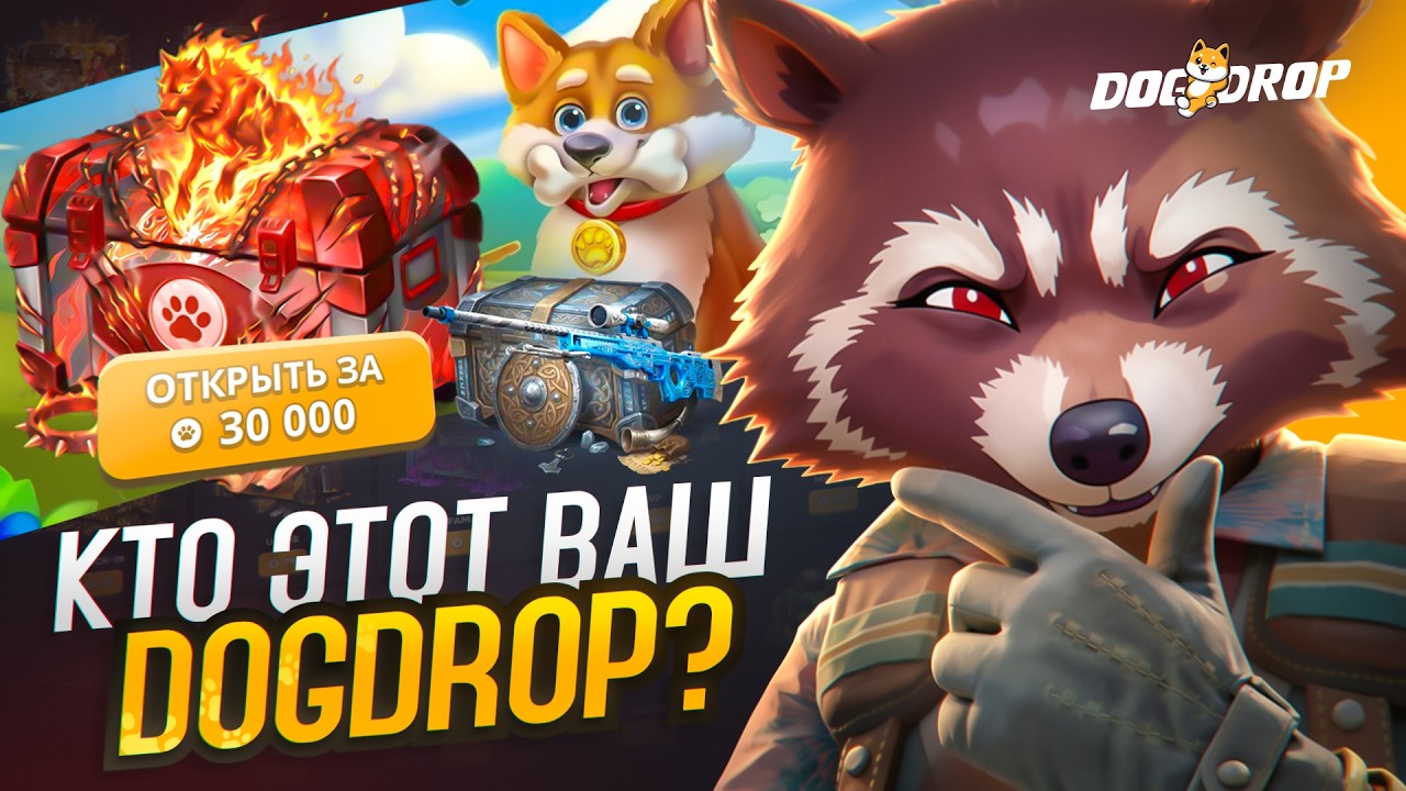 ЗАКИНУЛ 50.000 РУБЛЕЙ НА НОВЫЙ ПРОЕКТ DOGDROP! ТЕПЕРЬ КОЗЫРЯЮ СОЧНОЙ ЭМКОЙ!