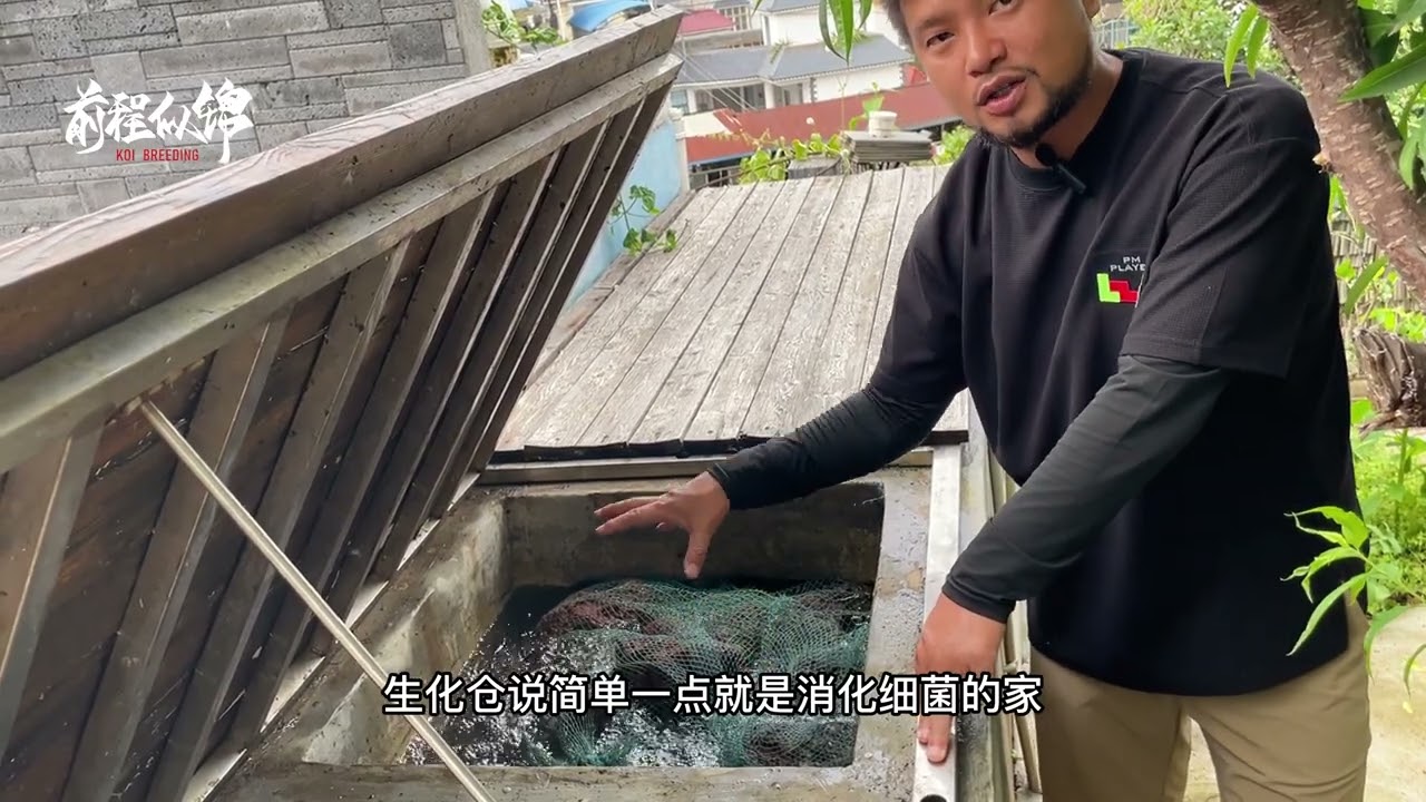 鱼池过滤原理