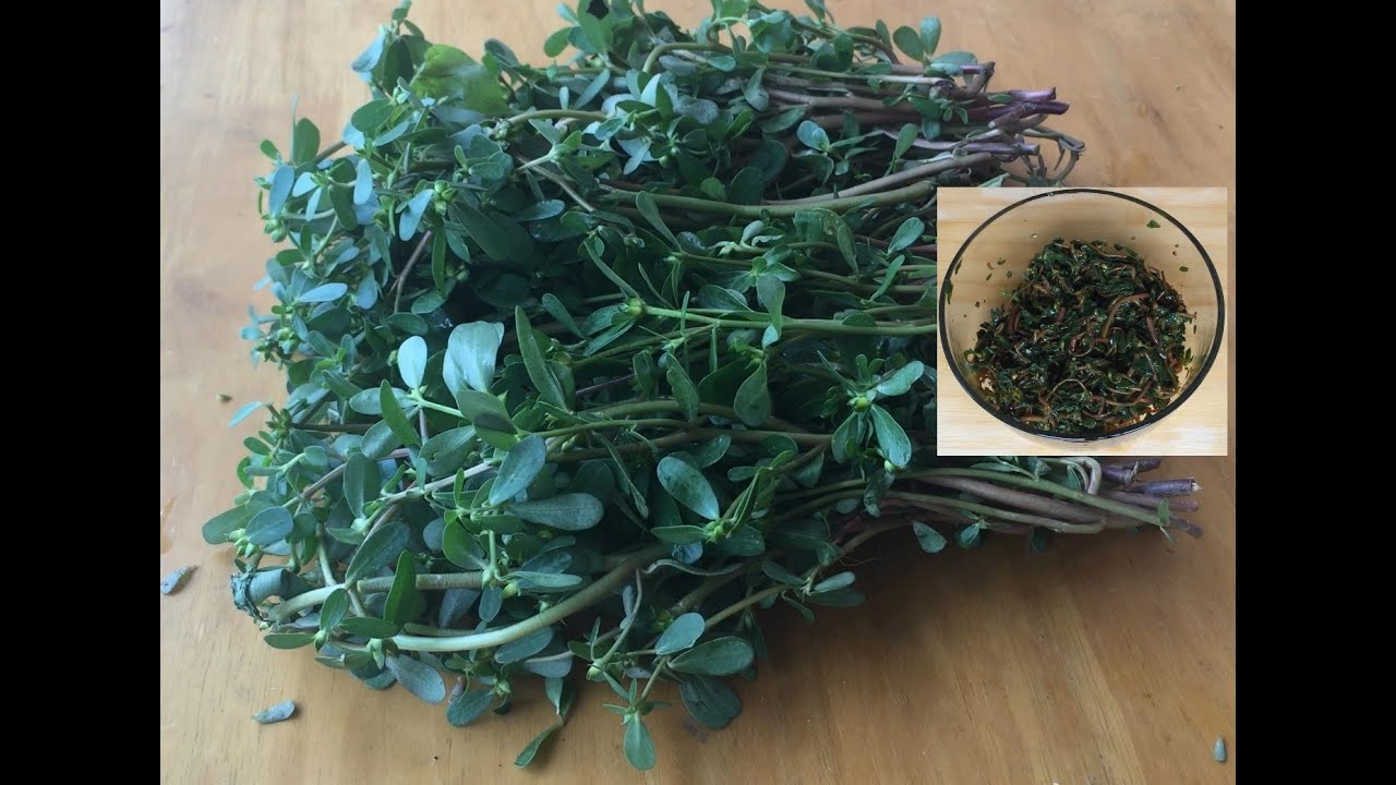 Healthy life|Healthy food|Veggie|Losing weight|Wild herb salad :Purslane especialy  for veggies