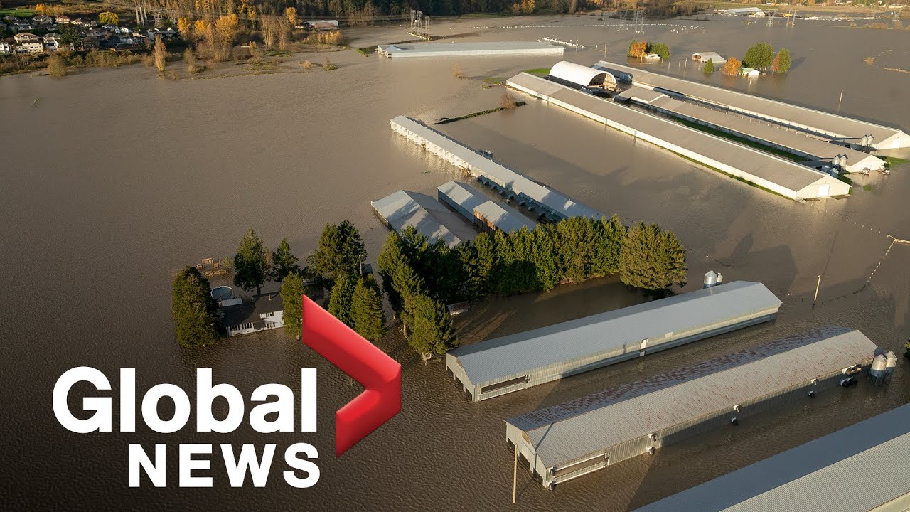 BC Floods: Abbotsford 