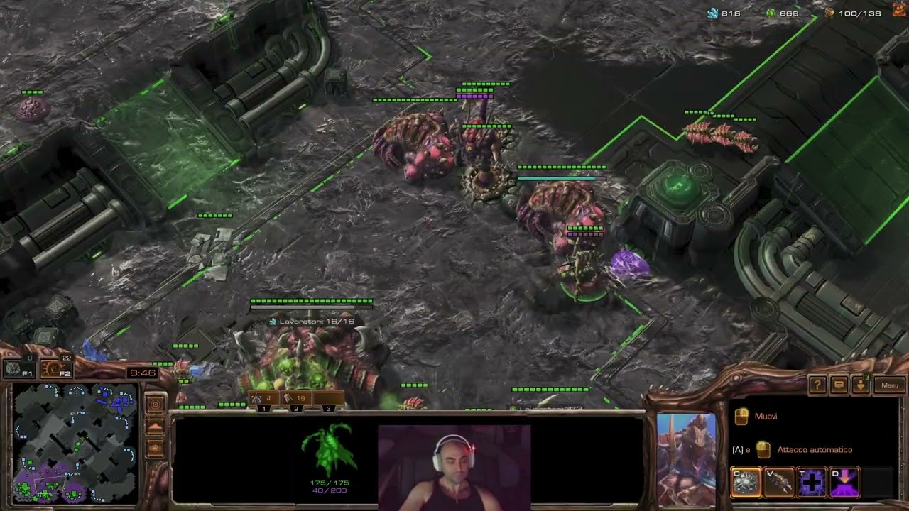 StarCraft II: Hottie