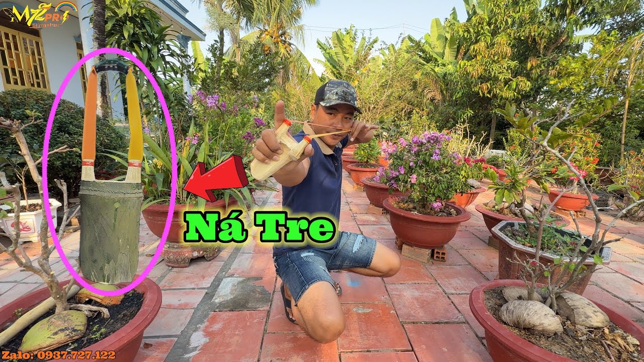 Mét 72 - Thử Làm Ná Bằng Ống Tre Đi Săn Về Nướng Làm Muối Trái Giác