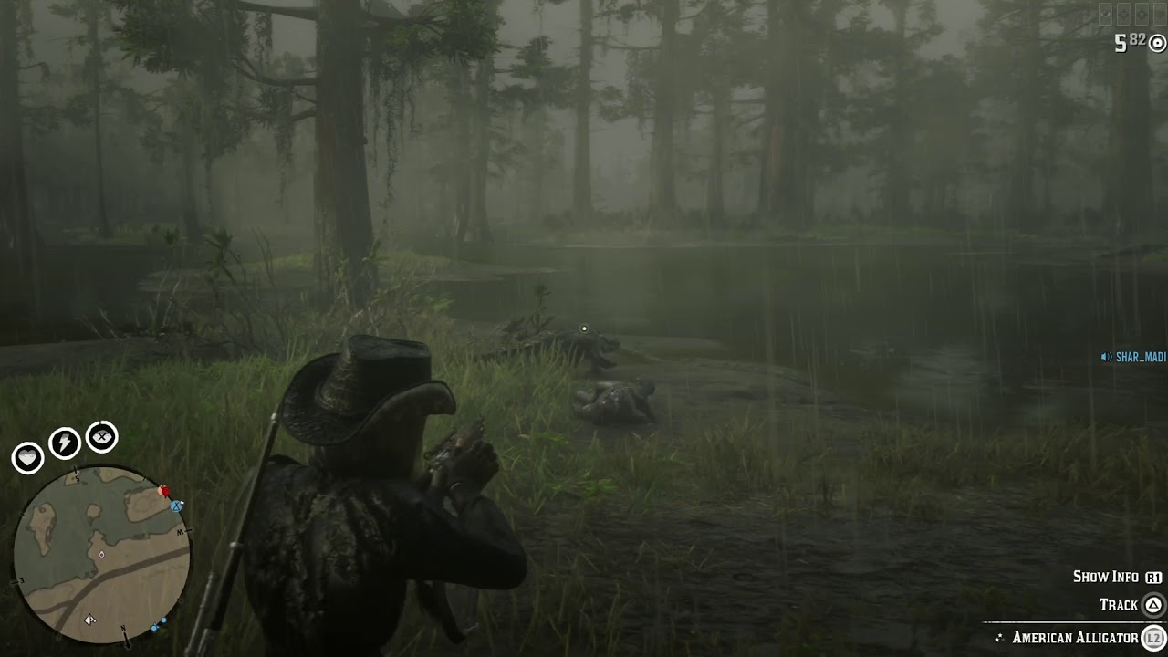 Aussie Nomads: Gator Bait