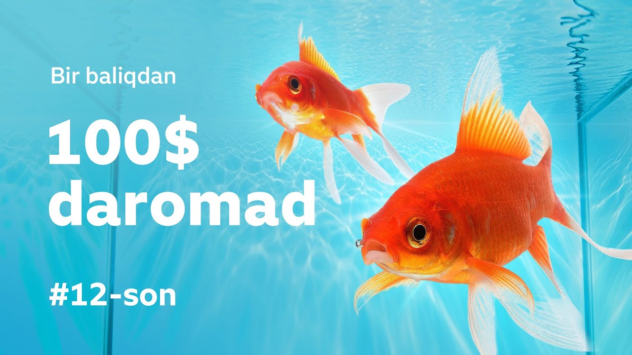 3 SOTIX xonadonda 8000 DOLLARLIK AKVARIUM baliqlari #12 Mening Tomorqam / NAMANGAN