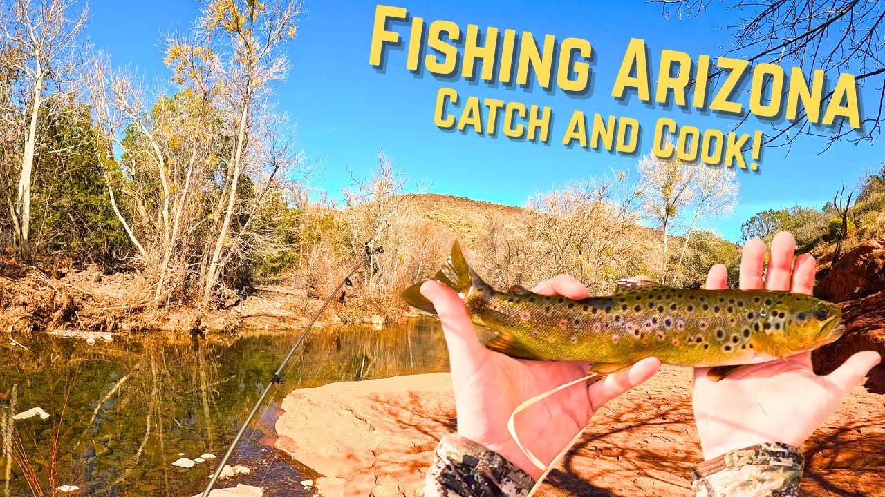 EXPLORING ARIZONA - Beaver Creek Catch and Cook!