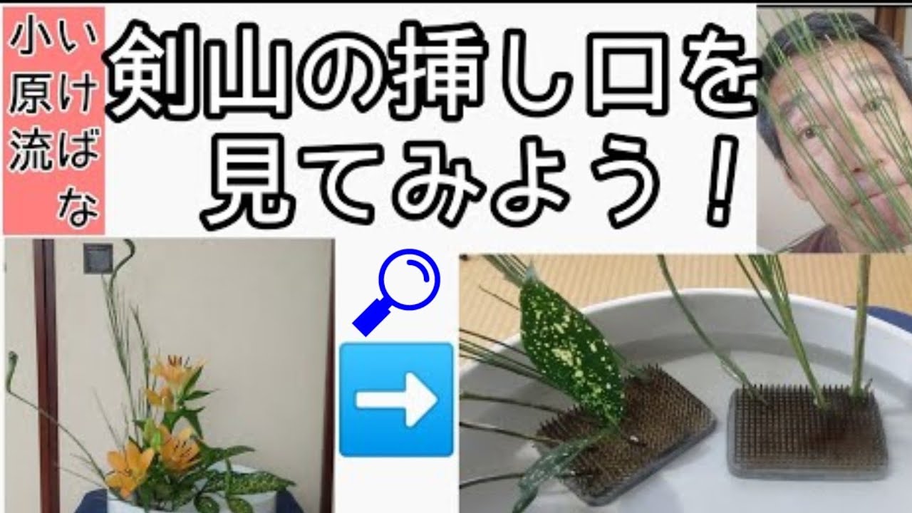 🔰【よくわかる生け花】盛花の剣山の挿し位置に注目してみよう。いけばな小原流　直立型　石化エニシダ　スカシユリ　ドラセナゴッドセフィアーナ　始めよういけばな　レッスン！