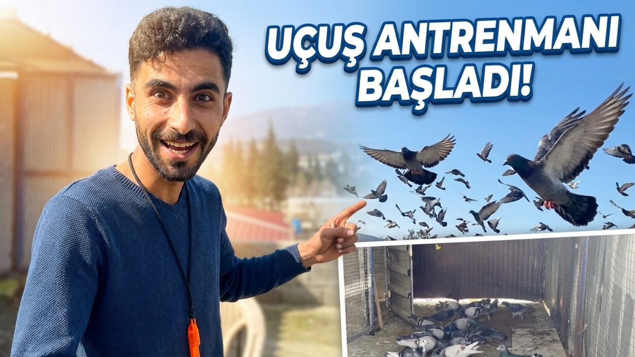 HATAY YARIŞ POSTA GÜVERCİNLERİ KİLİS'TEN SALIM 80 KM