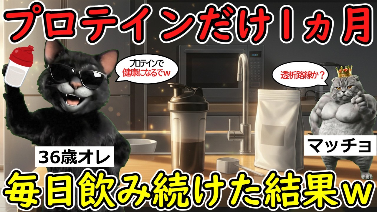 【猫ミーム】マジキチ！プロテインだけを１ヵ月毎日飲み続けた結果ｗｗ 【2chまとめ】