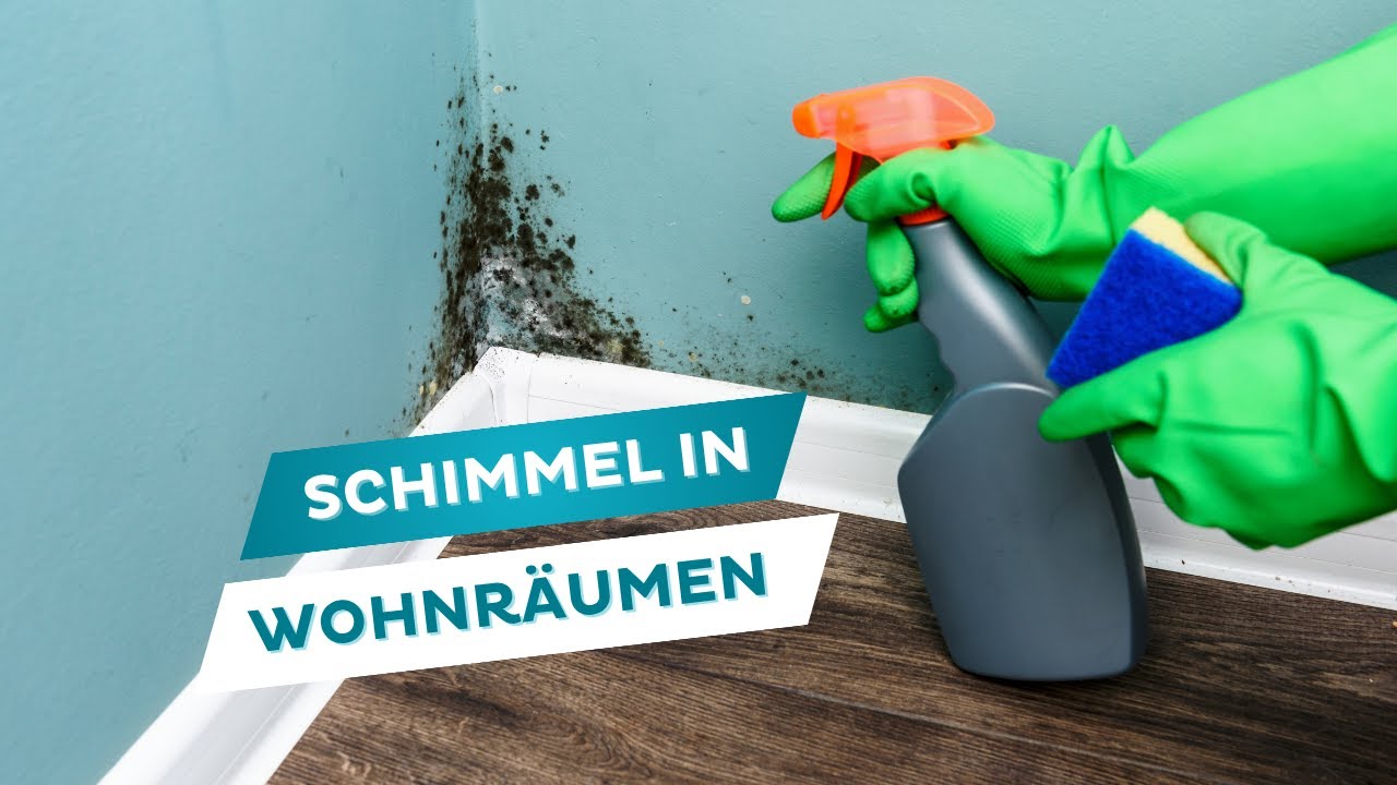 Schimmel in Wohnr&auml;umen: Entstehung, Risiken, Vorbeugung