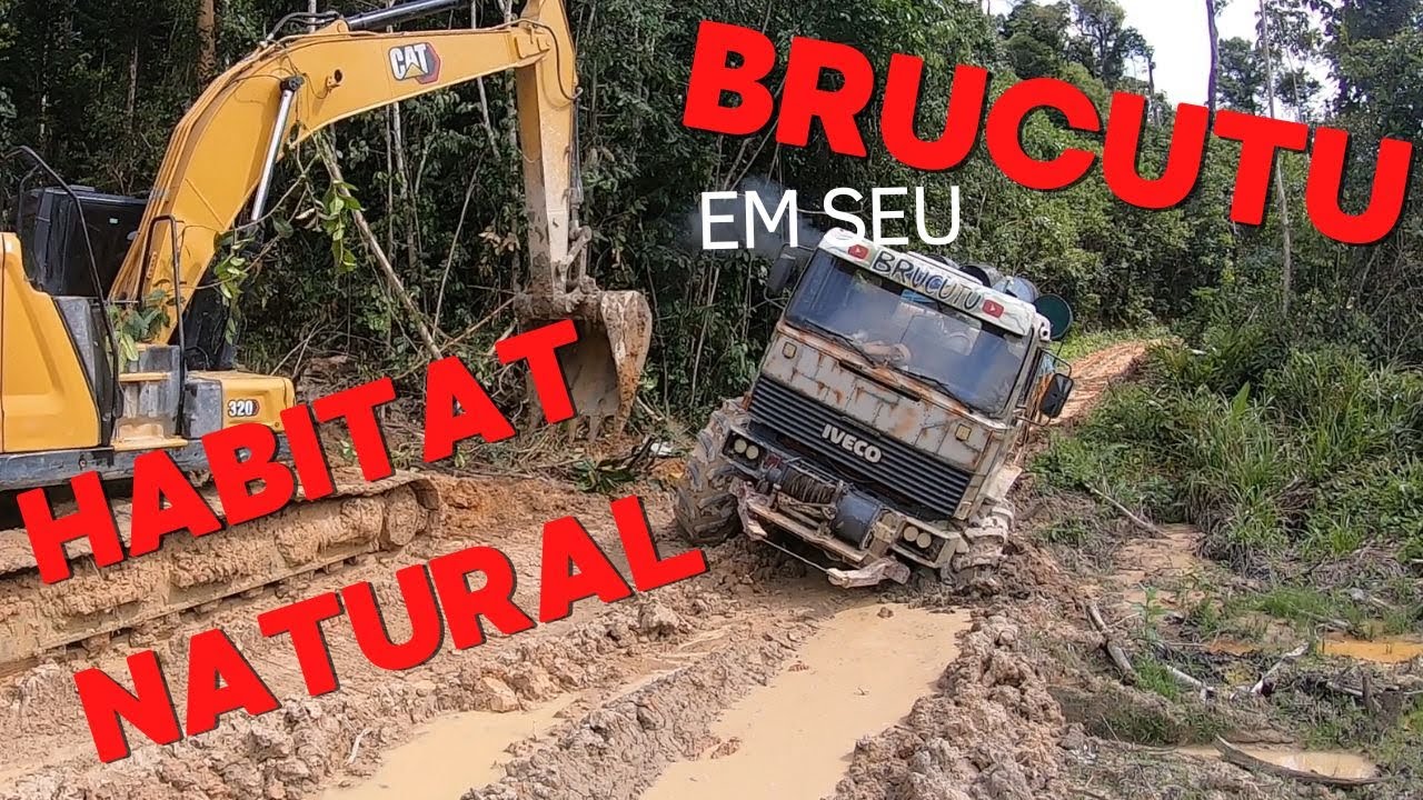 BRUCUTU em seu Habitat Natural pt4