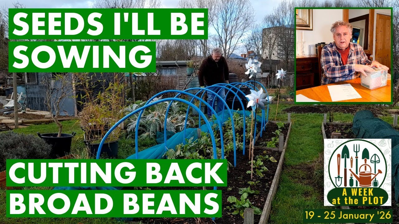 Cutting Down Our Broad Beans, Seed Sowing Chat & What I'm Sowing This Year