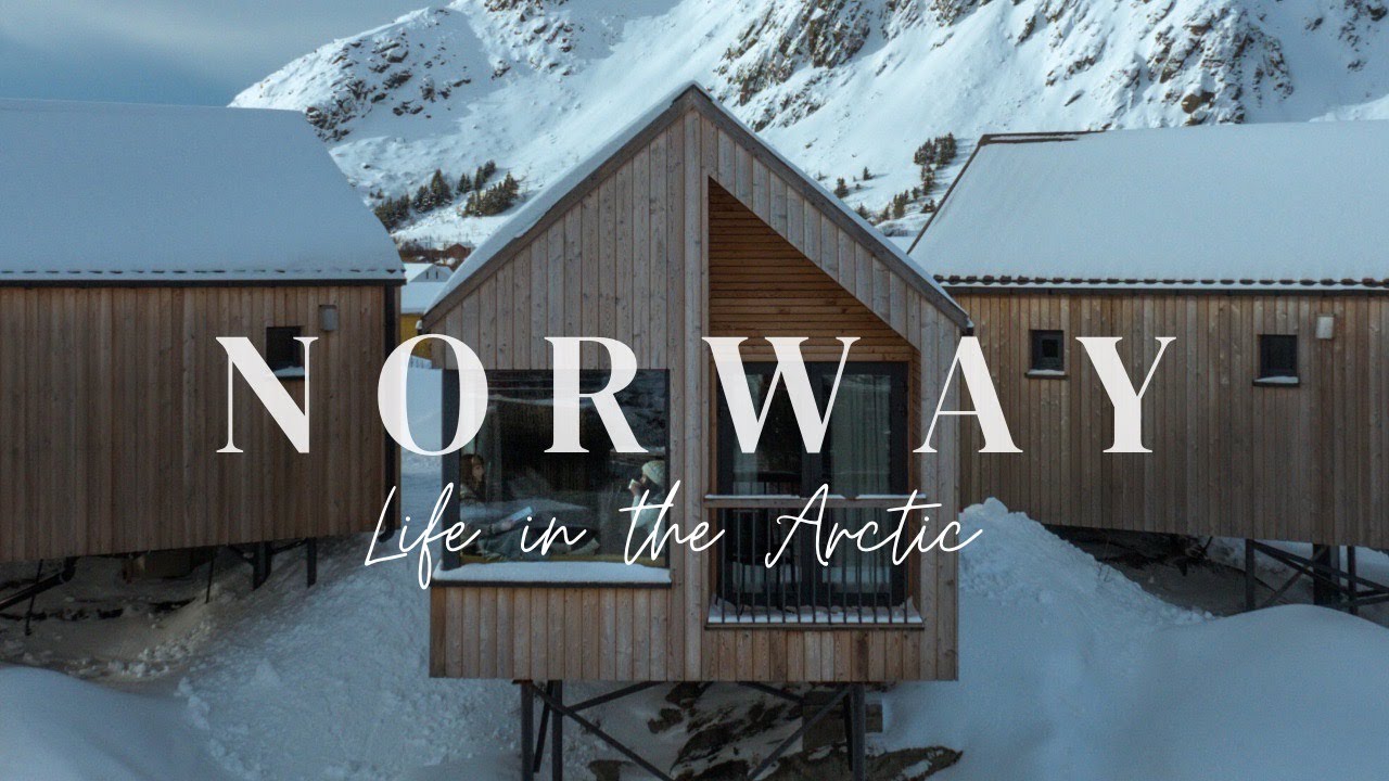 Exploring Lofoten |  Life in the Arctic