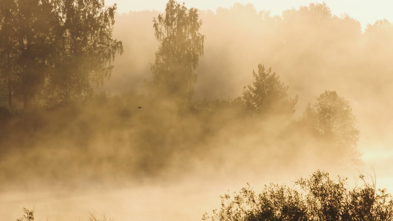 Waldviertel - echt & unverfälscht