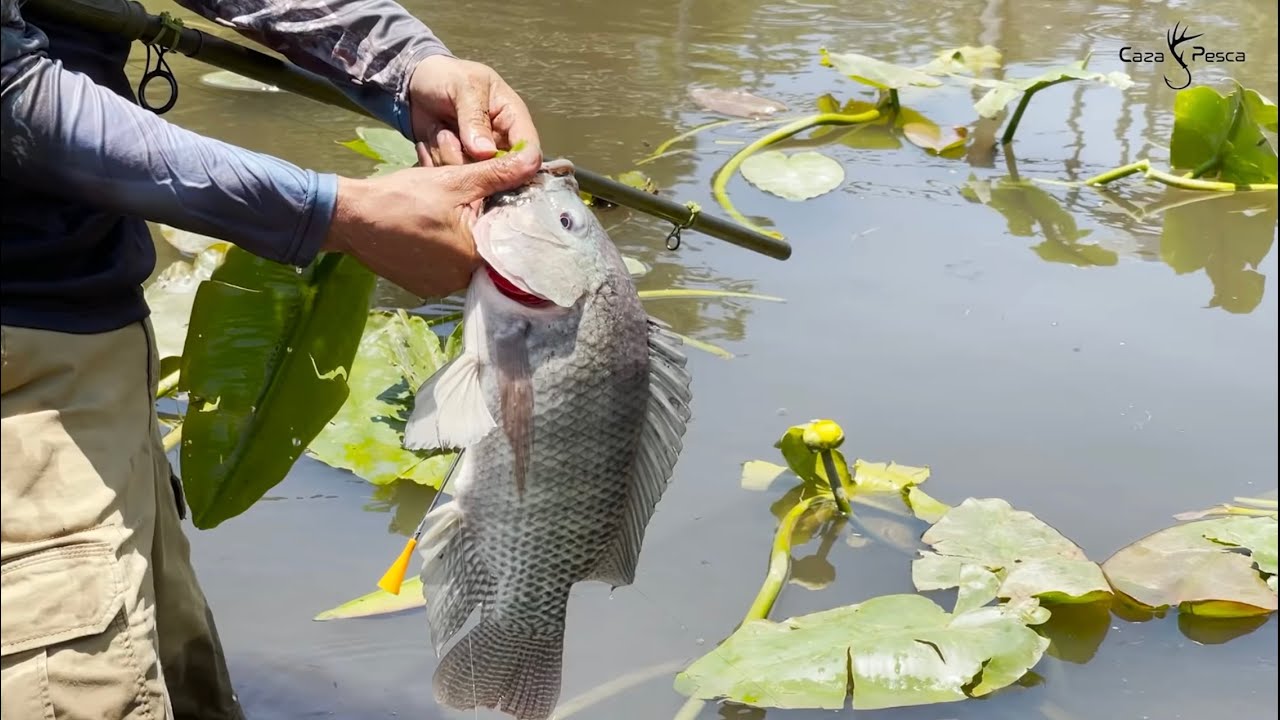 Pesca Con Cerbatana Y Cocina