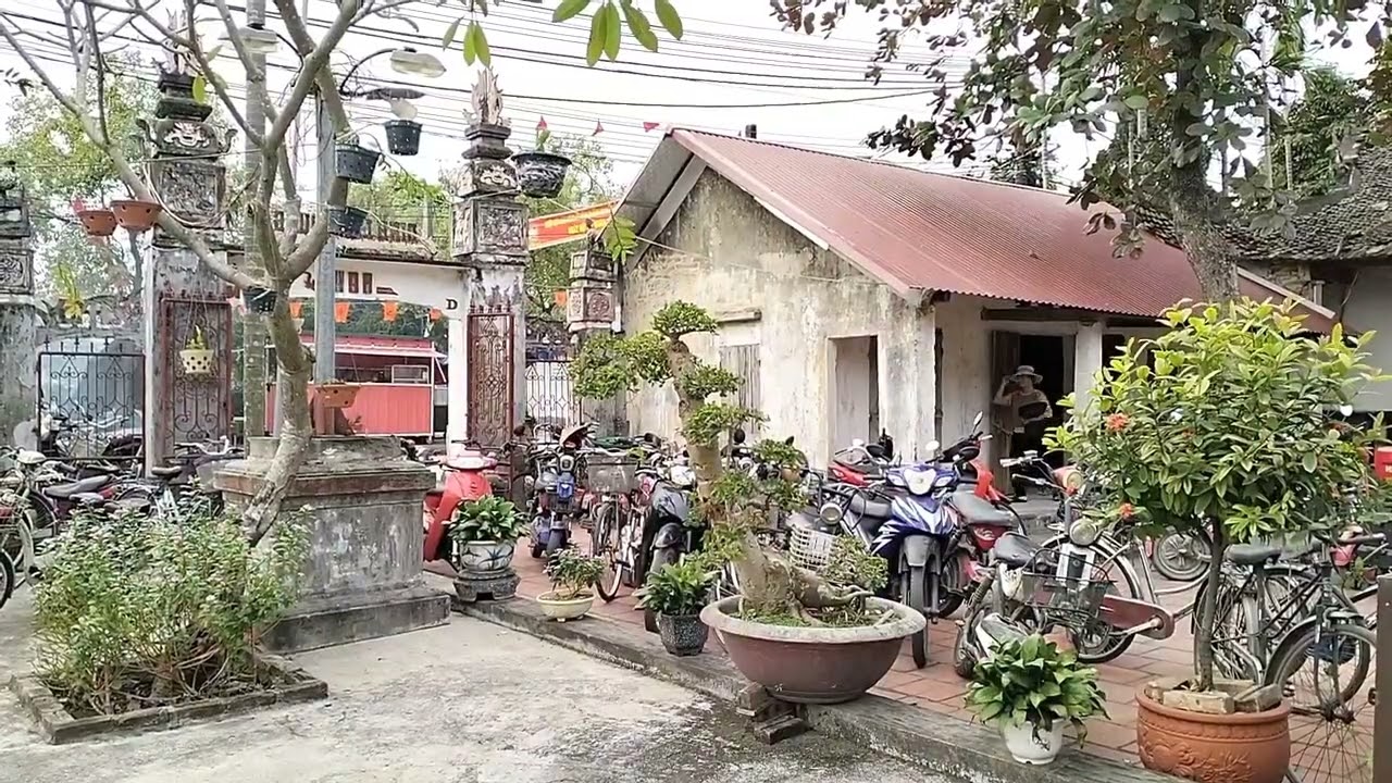 Quê hương là chùm khế ngọt, cho con trèo hái mỗi ngày 