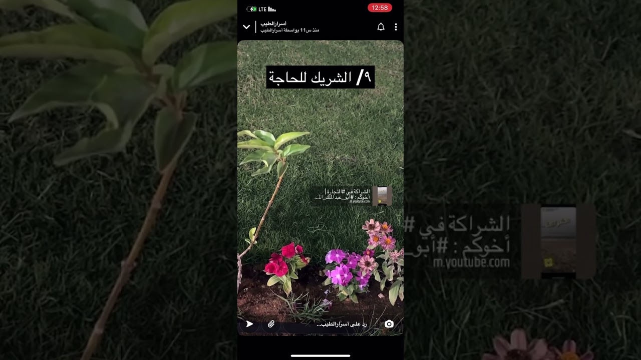 ماذا تعلّمت من التجارة ؟ | #أبو_عبدالملك_المطيري | #عائلة_الطيب