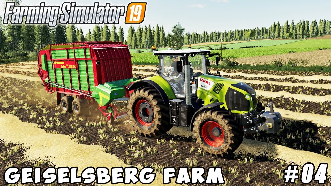 Harvesting triticale, picking straw | Geiselsberg Farm | Farming simulator 19 | Timelapse #04