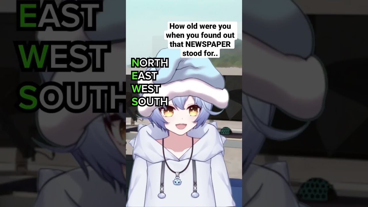 Vtuber finds out what NEWSPAPER stands for
