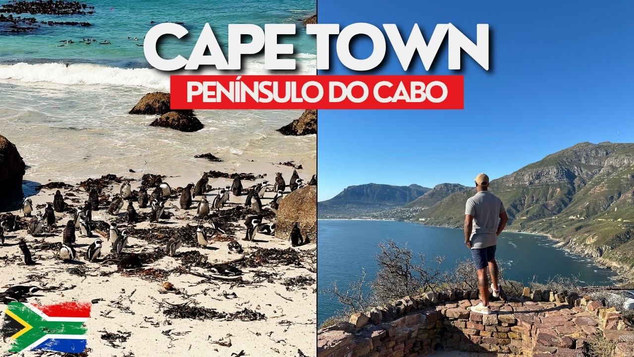 🇿🇦 O que fazer na ÁFRICA DO SUL? | Península do Cabo - Cape Town