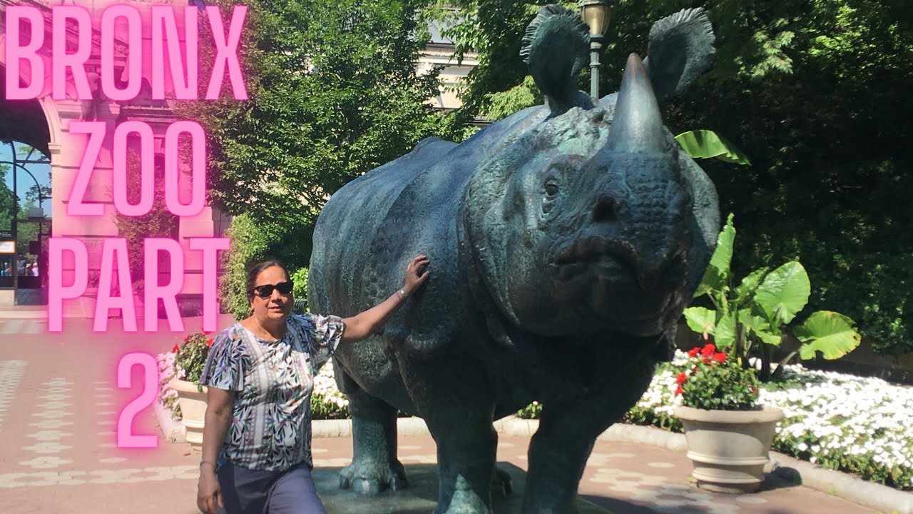 🦁 🐻 MY TRIP TO THE BRONX ZOO IN NEW YORK CITY!! PART 2 🦒 🐍