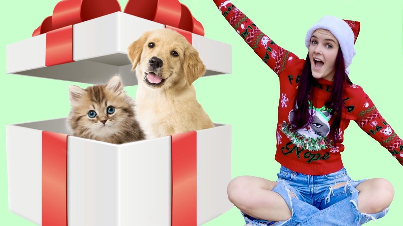 DONATING AN ANIMAL SHELTER EVERYTHING ON ITS CHRISTMAS LIST!!!!